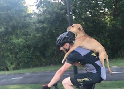Велосипедист спас собаку в лесу: случайностей в нашей жизни не бывает