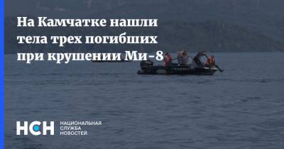 На Камчатке нашли тела трех погибших при крушении Ми-8