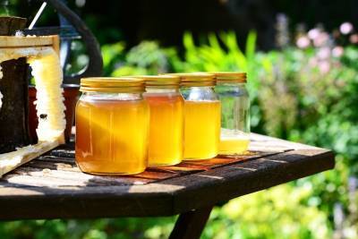 Первый Спас. Топ-5 блюд из мёда, и как определить его качество