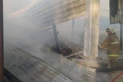 Коровы сгорели в фермерском хозяйстве Свердловской области