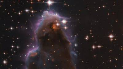 Телескоп Хаббл сфотографировал «звездные ясли»