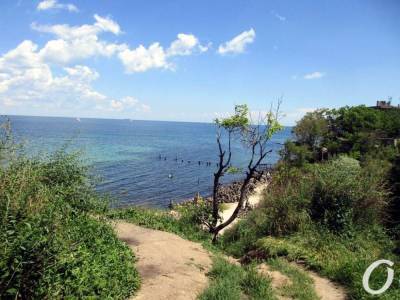 Температура морской воды в Одессе 14 августа: выходной обещает быть пляжным