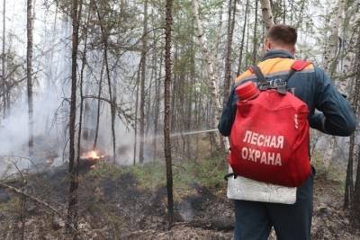 Жители пострадавшего от лесного пожара села в Якутии получили выплаты