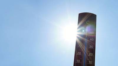 Мир катится в пекло: июль 2021 года стал самым жарким в истории