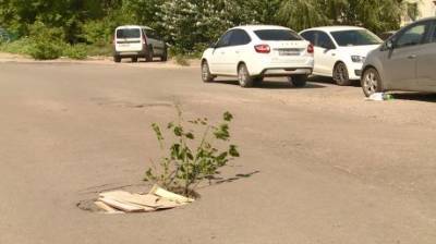 На улице Антонова пензенцы обозначили провал веткой дерева - penzainform.ru