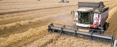 Американский Минсельхоз резко снизил прогноз сбора пшеницы в России