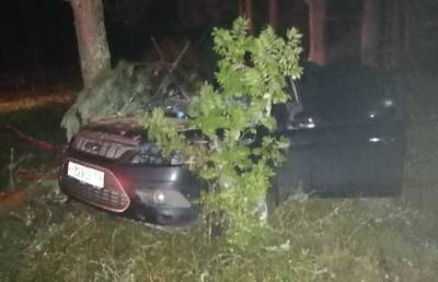 В Тверской области легковушка съехала в кювет и врезалась в дерево