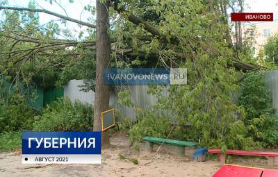 В Иванове на детскую площадку в садике рухнуло большое дерево