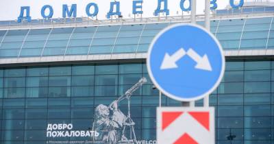 Застрявшие в Домодедово россияне устроили давку в аэропорту