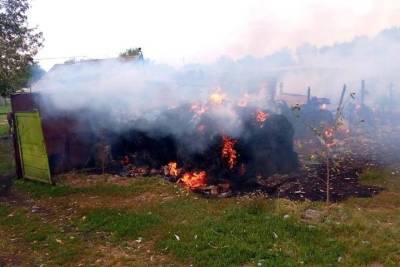 За сутки в Курской области произошло семнадцать пожаров