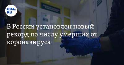 В России установлен новый рекорд по числу умерших от коронавируса