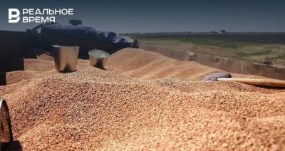 В Татарстане уборка зерновых культур выполнена почти на 90%