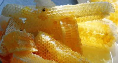 Как распознать фальшивый мед? - ru.armeniasputnik.am - Армения