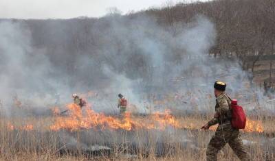 Площадь лесных пожаров в Башкирии составляет 1233 гектара