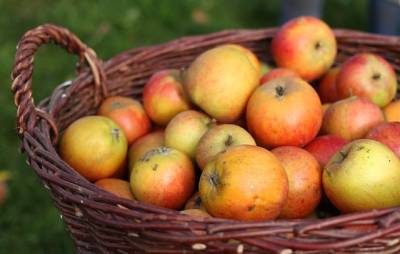 Яблочный Спас 2021: традиции и приметы праздника