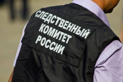 В Москве возбудили уголовное дело после убийства девушки на берегу реки