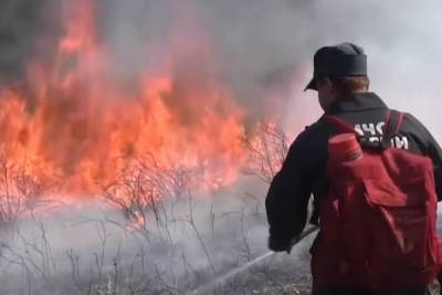 Юрий Трутнев потребовал скоординировать работу по тушению пожаров в Якутии