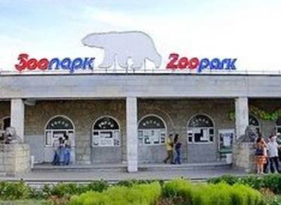 Главного технолога Ленинградского зоопарка не отправили в СИЗО по делу о взятке в полмиллиона рублей