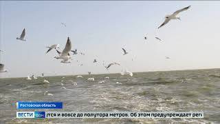 До конца дня в Таганрогском заливе сохраняется штормовое предупреждение