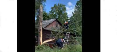 Огромное дерево упало на жилой дом в Петрозаводске (ВИДЕО)