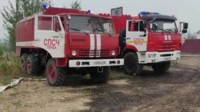 Пензенские спасатели вернулись после пожара в «Заповедной Мордовии»