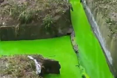 В ливневке в Новороссийске жители обнаружили ядовито-зелёную воду