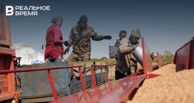 Татарстанских аграриев пытаются спасти от засухи... «Засухой»