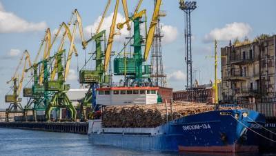 "Трансмашхолдинг" оценил перенос порта из Петербурга в Усть-Лугу в 110 млрд