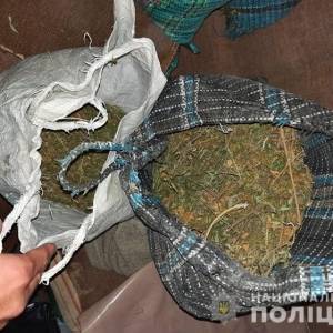 В Мелитопольском районе во время обысков изъяли 10 кг каннабиса. Фото