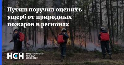 Путин поручил оценить ущерб от природных пожаров в регионах