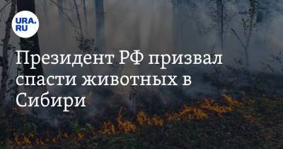 Президент РФ призвал спасти животных в Сибири