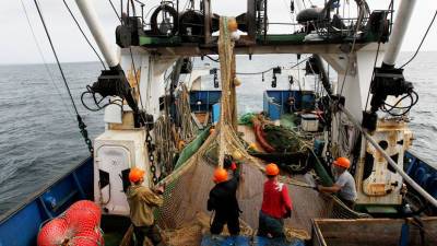 «Условия были очень тяжёлыми»: на Дальнем Востоке расследуют дело о лишении свободы моряков на рыболовецких судах