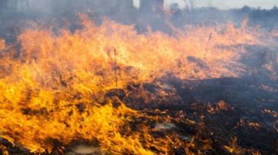 В половине регионов Украины объявили чрезвычайную пожарную опасность