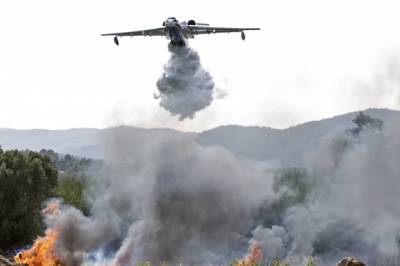 При крушении в Турции российского пожарного самолета выживших нет – СМИ