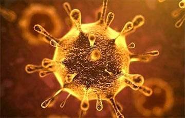 Ученый предположил, когда прекратятся мутации коронавируса
