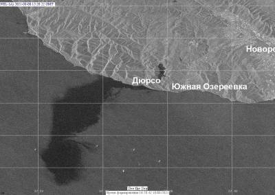 Эколог объяснил, почему данные по разливу нефти в Черном море были занижены в сотни тысяч раз