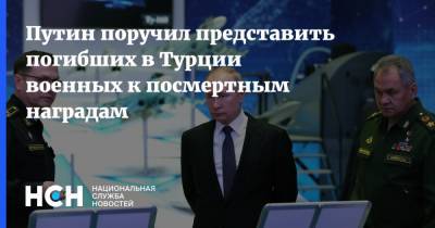 Путин поручил представить погибших в Турции военных к посмертным наградам