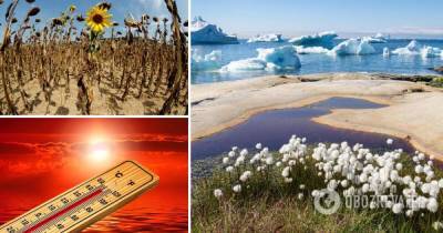 Июль 2021 года стал самым жарким в мире – климатологи