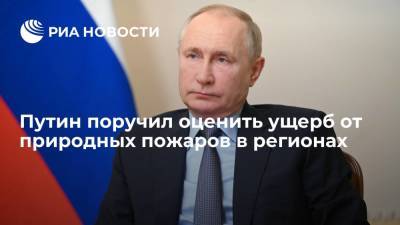 Путин поручил оценить ущерб и разработать меры по ликвидации последствий ЧС в регионах