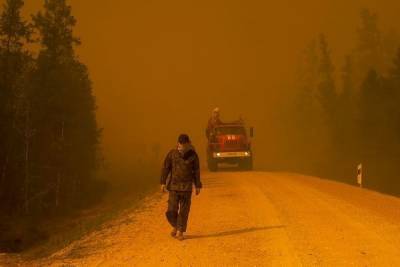 Рослесхоз: площадь лесных пожаров в Якутии составляет более 7 млн га
