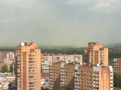 Смог от лесных пожаров в Сибири добрался до Удмуртии