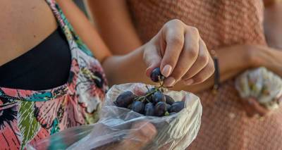Освящение винограда в Армении: что следует знать о празднике Успения Пресвятой Богородицы