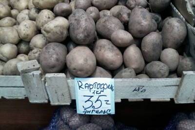 Магазины Саратова резко снизили цены на картофель