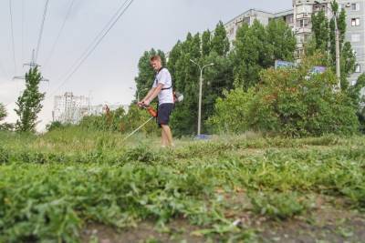 В Астрахани коммунальные службы избавят улицы от лебеды