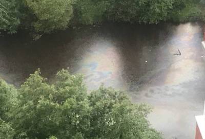 Радужные пятна на реке Коваш встревожили сосновоборцев – фото и видео