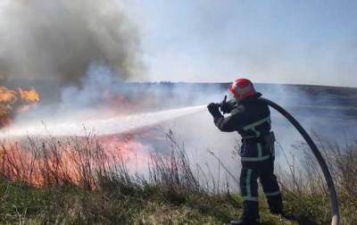Ряд областей Украины предупредили о чрезвычайной пожарной опасности