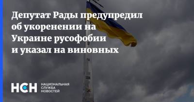 Депутат Рады предупредил об укоренении на Украине русофобии и указал на виновных