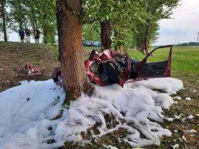 В Чашникском районе »Пежо» врезался в дерево – пассажира из авто извлекали спасатели