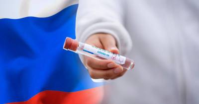 В России за сутки зафиксировано 21 624 случая коронавируса