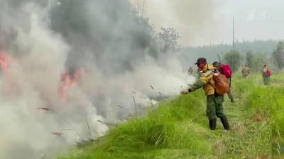 В России за сутки потушили 60 природных пожаров